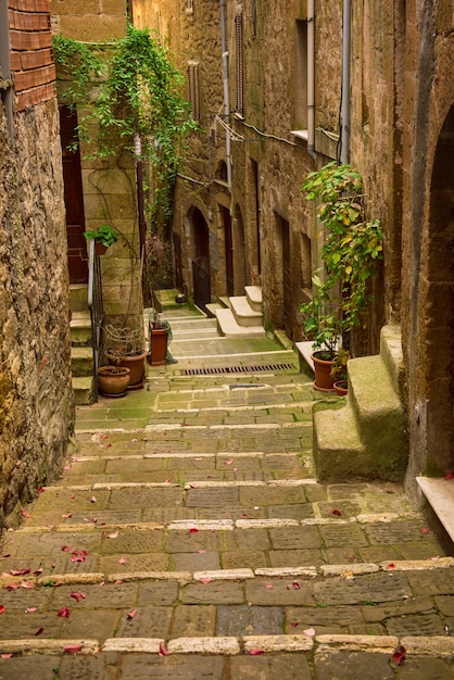 緑の植物と石畳の階段がある中世の凝灰岩の街ピティリアーノの狭い通り、イタリアのヴィンテージの背景を旅する