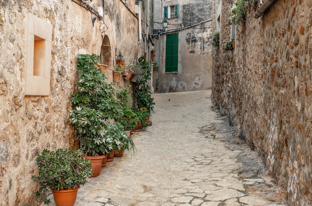 A narrow street with pots of plants and flowers in the old town of a European village