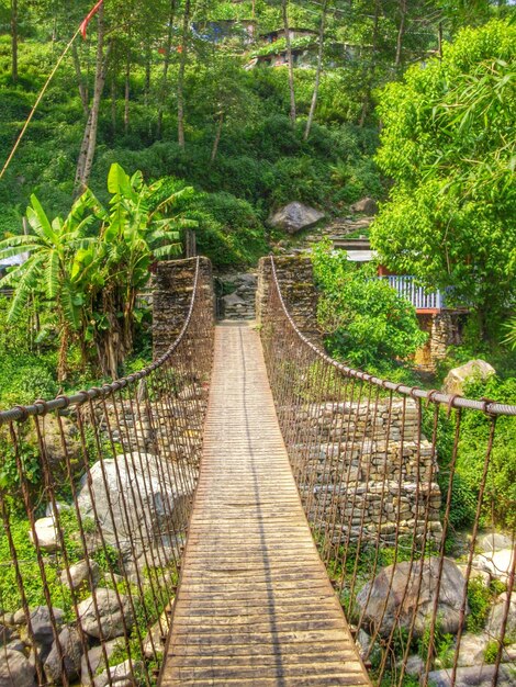 Photo narrow walkway in forest