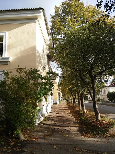 Narrow walkway in park