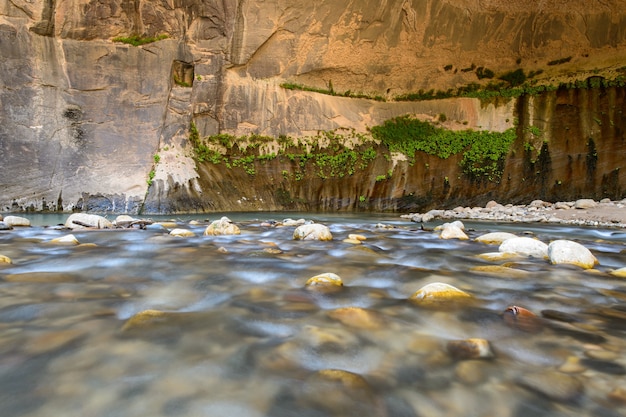 Foto lo stretto, parco nazionale di zion, usa