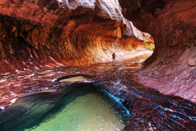 Narrows in Zion National Park, Utah