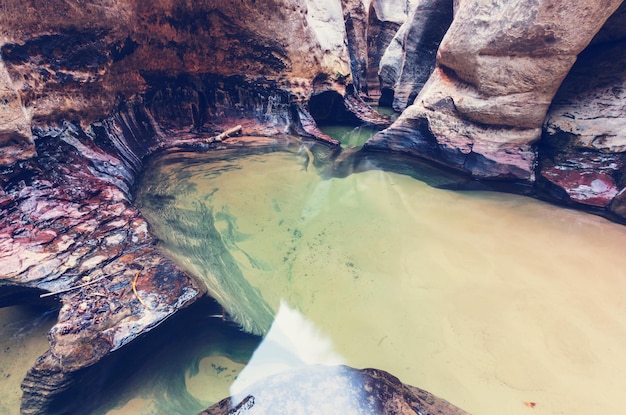 Narrows in Zion National Park, Utah