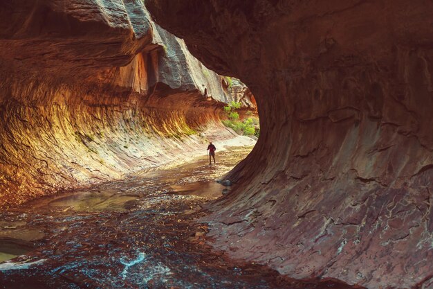 Narrows in Zion National Park, Utah