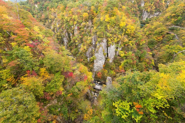 Naruko canyon with autumn foliage