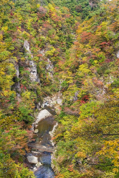 Naruko Gorge Valley met kleurrijk gebladerte