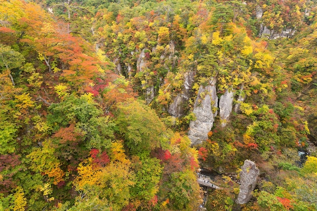 Naruko Gorge Valley met kleurrijk gebladerte