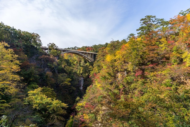 Photo naruko gorge