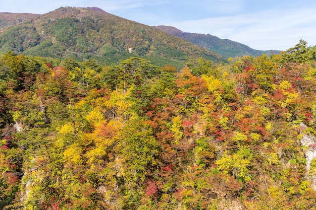 Naruko-kloof in de herfst