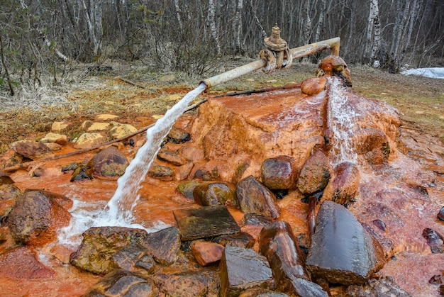 エルブルス地方のナルザン泉 チェゲット山近くの春 ロシア エルブルス 2019