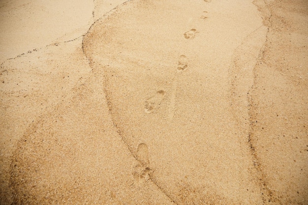 Nat zand op het zeestrand met sporen van blote menselijke voeten Voetafdrukken