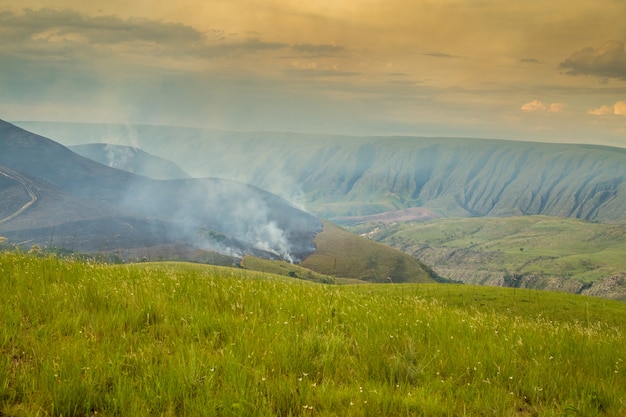 Nationaal park Brazilië Serra da Canastra