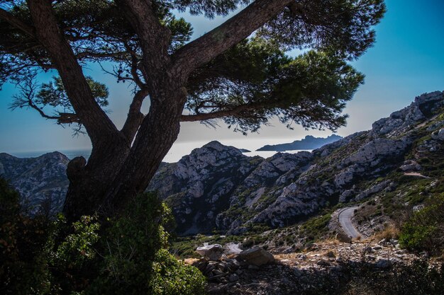 Nationaal park calanques