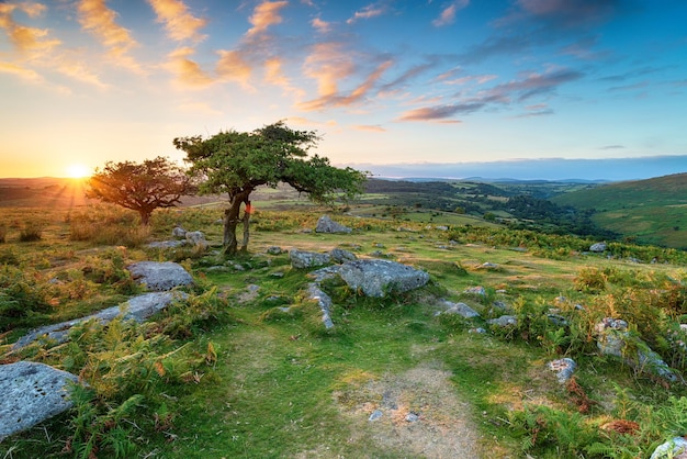 Nationaal park Dartmoor