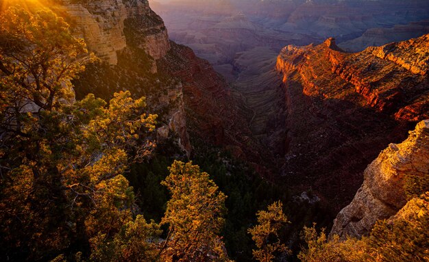 Nationaal Park Grand Canyon. VS reizen landschappen.