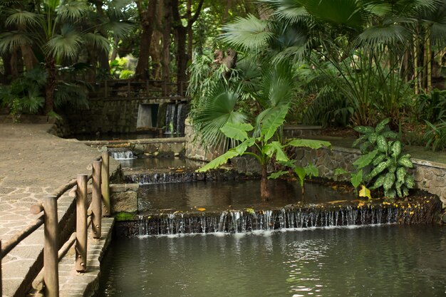 Nationaal Park met een waterval palmbomen en een houten hek Mauritius Casela