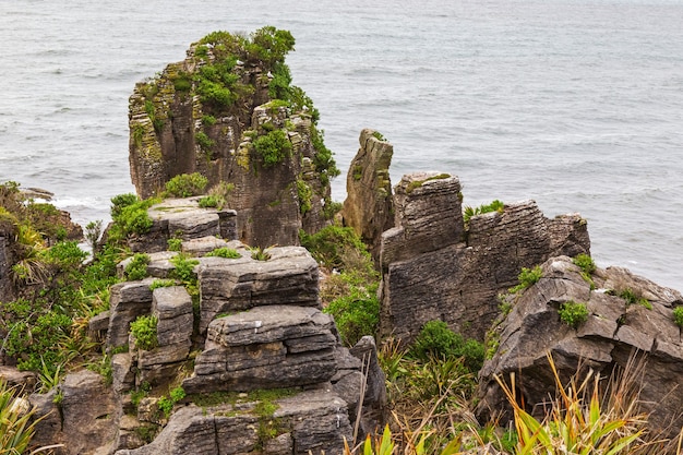 Nationaal park Paparoa Pancake Rocks South Island, Nieuw-Zeeland