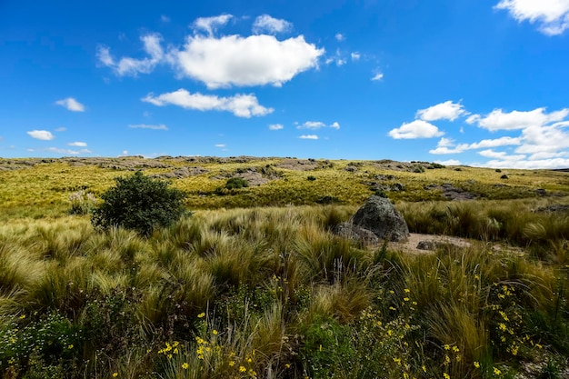 Nationaal park Quebrada del Condorito provincie Cordoba Argentinië