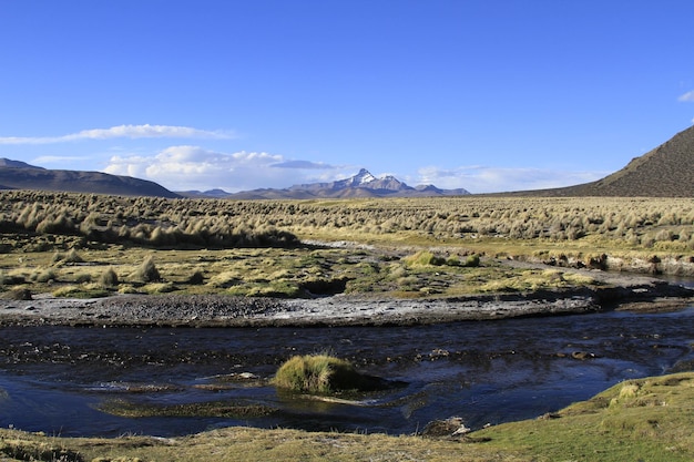 Nationaal park Sajama Bolivia