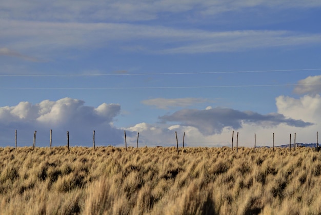 Nationaal park Sajama Bolivia