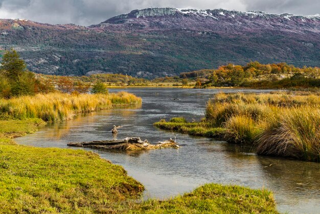 Nationaal park Tierra del Fuego Patagonië Argentinië