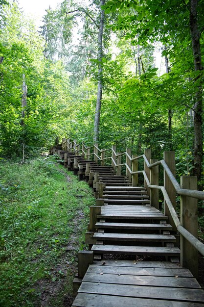 Nationaal park van sigulda letland