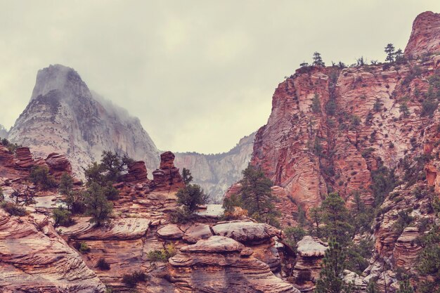 Foto nationaal park zion