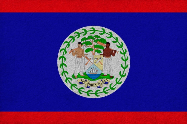 National flag of belize background with flag of belize