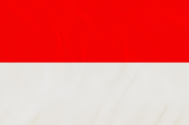 사진 인도네시아의 국기 인도네시아의 국기와 함께 배경