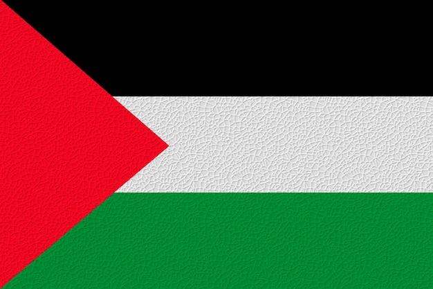 National flag of Palestine Background with flag of Palestine