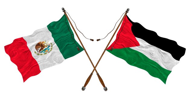 National flag of Palestine and Mexico Background for designers