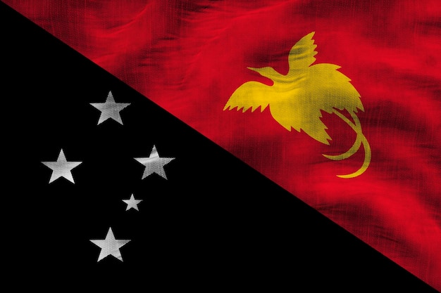 パプア ニューギニアの国旗と背景のパプア ニューギニアの国旗