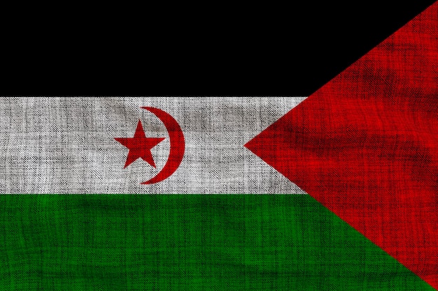 사하라 아랍 민주 공화국의 국기와 함께 사하라 아랍 민주 공화국 배경의 국기
