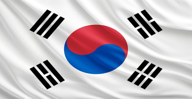 韓国の国旗のフライエフェクト