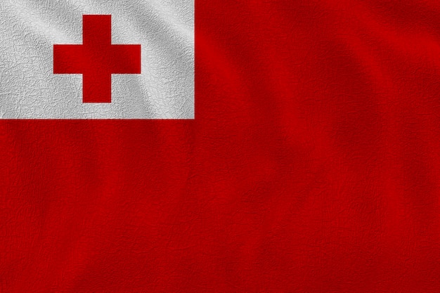 National flag of tonga background with flag of tonga