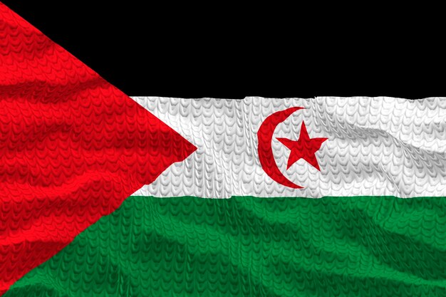 National flag of Western Sahara Background with flag of Western Sahara