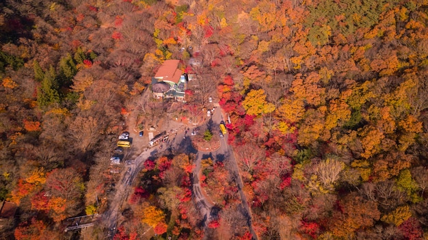 National Korean park