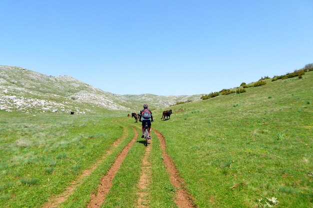 Photo national park galicica macedonia