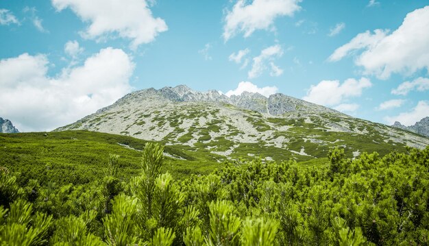 National Park High Tatras, Slovakia, Europe. Hiking path to mountain lake Batizovske pleso and Sliez