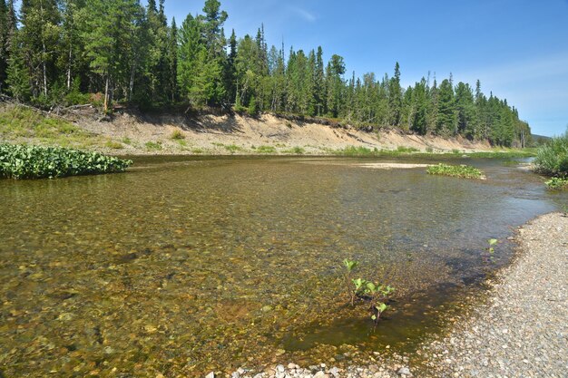 National park Yugyd va Virgin forests of Komi