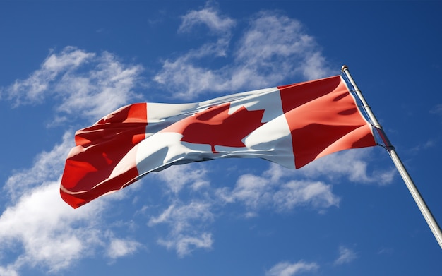 national state flag of Canada fluttering