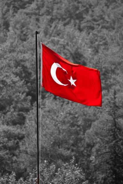 Nationale vlag van Turkije op een zwart-witte achtergrond