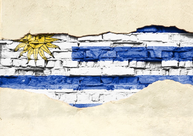 Nationale vlag van uruguay op een bakstenen achtergrond. bakstenen muur met gedeeltelijk vernietigde pleister, achtergrond of textuur.
