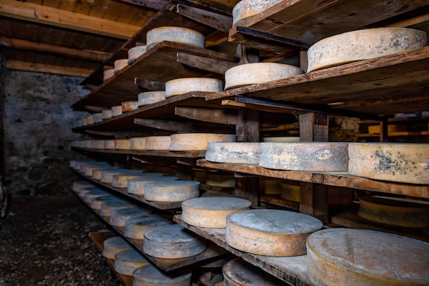 Native mountain cheese shelf in the cellar