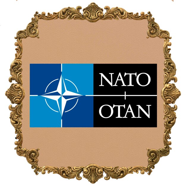 NATO エンブレム国家独立記念日