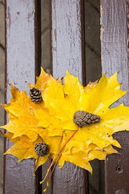 Natte gouden gevallen bladeren van esdoorn met waterdruppels op een bruine houten brench in de herfstpark