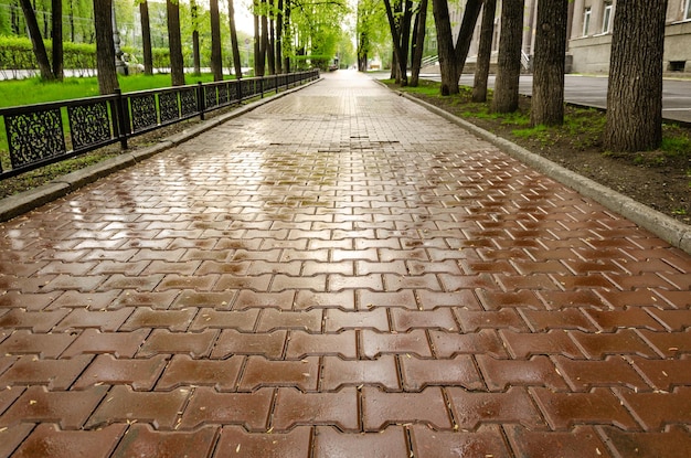 Natte stoep in het park na de regen.