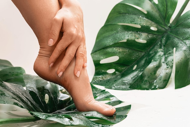 Natte vrouwelijke voeten met gladde huid en Monstera deliciosa tropisch blad