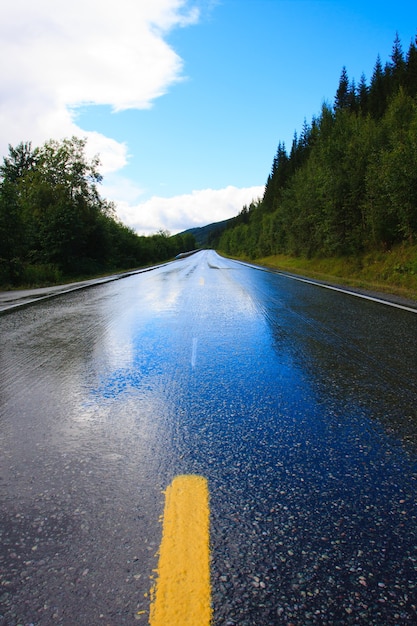 Foto natte weg na de regen