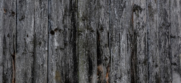 natual textued wooden surface